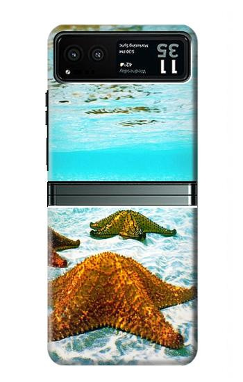 W1679 Starfish Sea Beach Case Cover Custodia e Flip Case per Motorola Razr 40 W1679 Starfish Sea Beach Case Cover Custodia e Flip Case per Motorola Razr 40