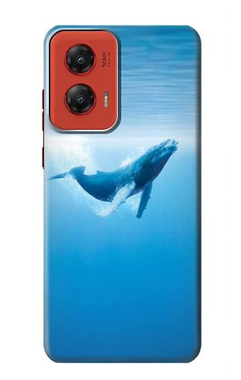 W0843 Blue Whale Case Cover Custodia e Flip Case per Motorola Moto G Stylus 5G (2024) W0843 Blue Whale Case Cover Custodia e Flip Case per Motorola Moto G Stylus 5G (2024)