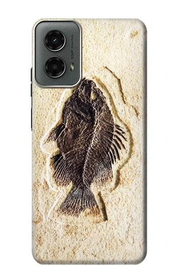 W2562 Fossil Fish Case Cover Custodia e Flip Case per Motorola Moto G 5G (2024)