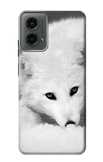 W2569 White Arctic Fox Case Cover Custodia e Flip Case per Motorola Moto G 5G (2024)