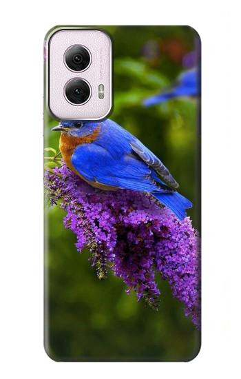 W1565 Bluebird of Happiness Blue Bird Case Cover Custodia e Flip Case per Motorola Moto G Power 5G (2024)