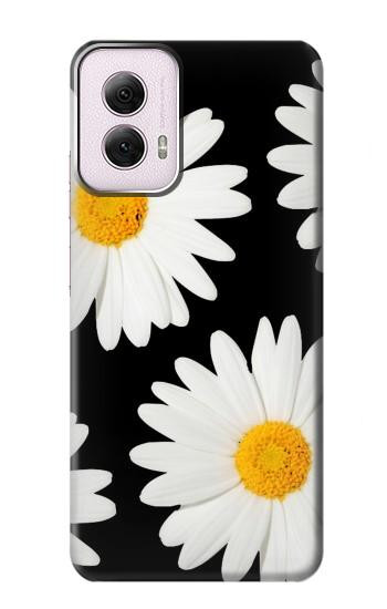 W2477 Daisy flower Case Cover Custodia e Flip Case per Motorola Moto G Power 5G (2024)