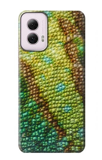 W3057 Lizard Skin Graphic Printed Case Cover Custodia e Flip Case per Motorola Moto G Power 5G (2024)