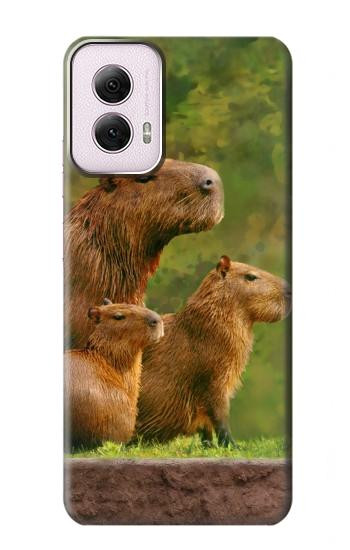 W3917 Capybara Family Giant Guinea Pig Case Cover Custodia e Flip Case per Motorola Moto G Power 5G (2024)
