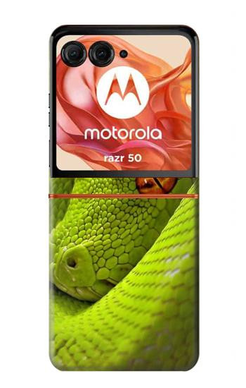 W0785 Green Snake Case Cover Custodia e Flip Case per Motorola Razr 50