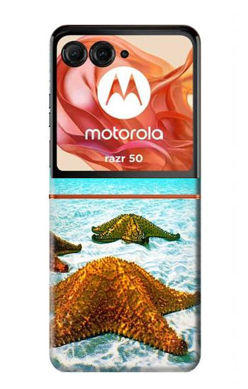 W1679 Starfish Sea Beach Case Cover Custodia e Flip Case per Motorola Razr 50 W1679 Starfish Sea Beach Case Cover Custodia e Flip Case per Motorola Razr 50