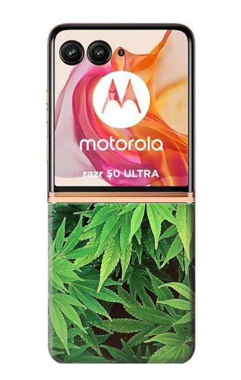 W1656 Marijuana Plant Case Cover Custodia e Flip Case per Motorola Razr 50 Ultra