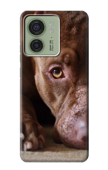 W0519 PitBull Face Case Cover Custodia e Flip Case per Motorola Edge (2023), Edge 40