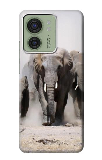 W3142 African Elephant Case Cover Custodia e Flip Case per Motorola Edge (2023), Edge 40 W3142 African Elephant Case Cover Custodia e Flip Case per Motorola Edge (2023), Edge 40
