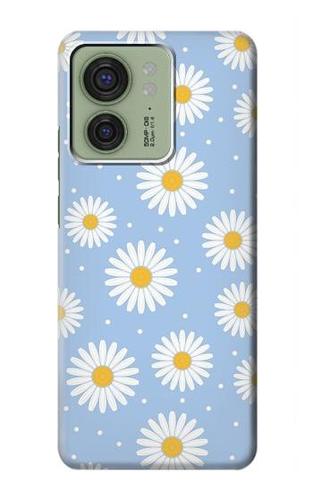 W3681 Daisy Flowers Pattern Case Cover Custodia e Flip Case per Motorola Edge (2023), Edge 40