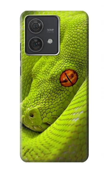 W0785 Green Snake Case Cover Custodia e Flip Case per Motorola Edge 40 Neo