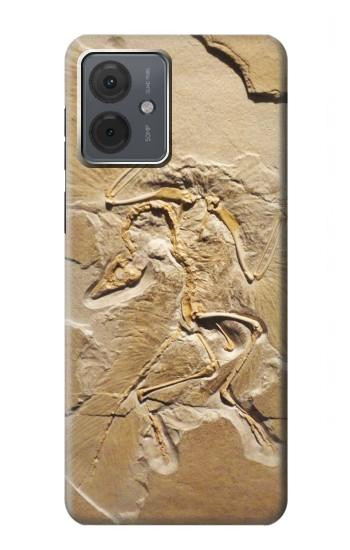 W0380 Dinosaur Fossil Case Cover Custodia e Flip Case per Motorola Moto G14 W0380 Dinosaur Fossil Case Cover Custodia e Flip Case per Motorola Moto G14