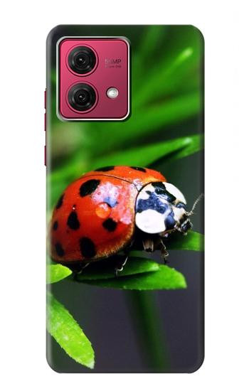 W0263 Ladybug Case Cover Custodia e Flip Case per Motorola Moto G84