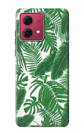 W3457 Paper Palm Monstera Case Cover Custodia e Flip Case per Motorola Moto G84