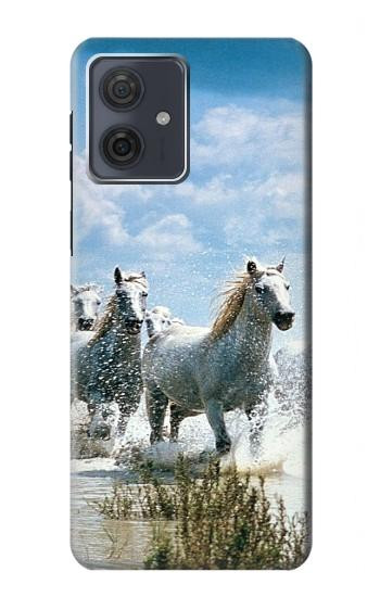 W0250 White Horse Case Cover Custodia e Flip Case per Motorola Moto G54 W0250 White Horse Case Cover Custodia e Flip Case per Motorola Moto G54