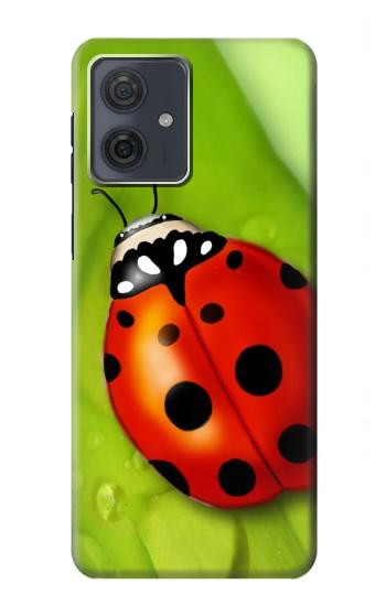W0892 Ladybug Case Cover Custodia e Flip Case per Motorola Moto G54