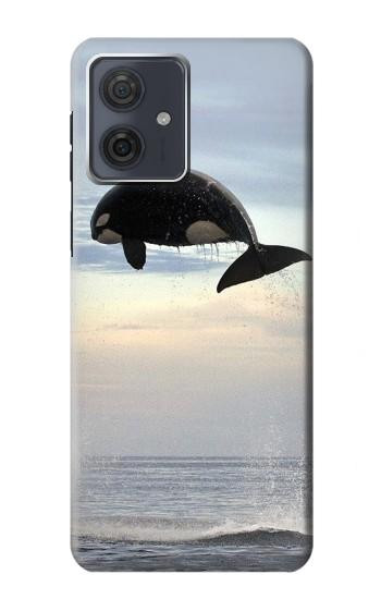 W1349 Killer whale Orca Case Cover Custodia e Flip Case per Motorola Moto G54 W1349 Killer whale Orca Case Cover Custodia e Flip Case per Motorola Moto G54