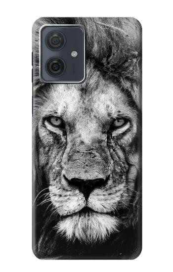 W3372 Lion Face Case Cover Custodia e Flip Case per Motorola Moto G54