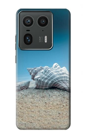 W3213 Sea Shells Under the Sea Case Cover Custodia e Flip Case per Motorola Edge 50 Ultra