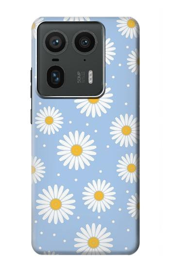 W3681 Daisy Flowers Pattern Case Cover Custodia e Flip Case per Motorola Edge 50 Ultra