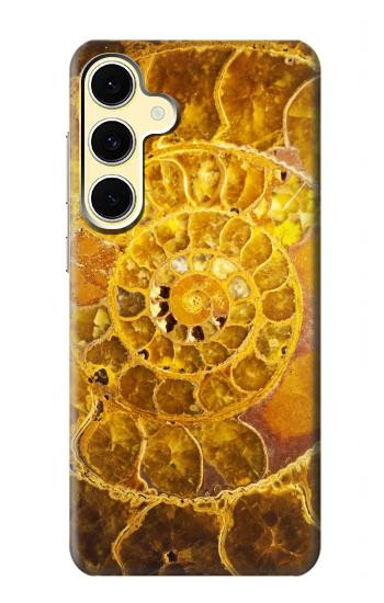 W1789 Ammonite Fossils Case Cover Custodia e Flip Case per Samsung Galaxy S24 FE W1789 Ammonite Fossils Case Cover Custodia e Flip Case per Samsung Galaxy S24 FE
