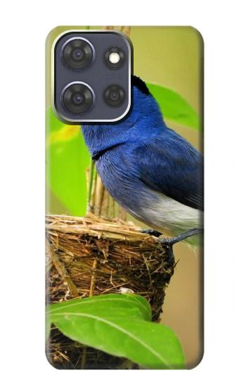 W3839 Bluebird of Happiness Blue Bird Case Cover Custodia e Flip Case per Motorola Moto G Power (2025)