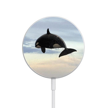 W1349 Killer whale Orca Caricabatterie wireless magnetico con MagSafe 15W per iPhone 16 15 14 13 12