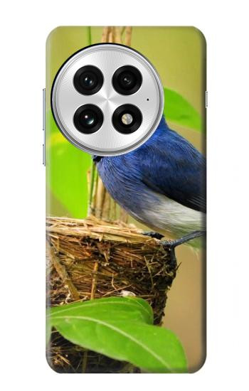W3839 Bluebird of Happiness Blue Bird Case Cover Custodia e Flip Case per OnePlus 13