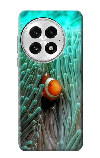 W3893 Ocellaris clownfish Case Cover Custodia e Flip Case per OnePlus 13