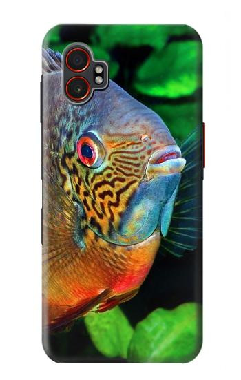 W1812 Cichlid Fish Case Cover Custodia e Flip Case per Samsung Galaxy XCover7 Pro