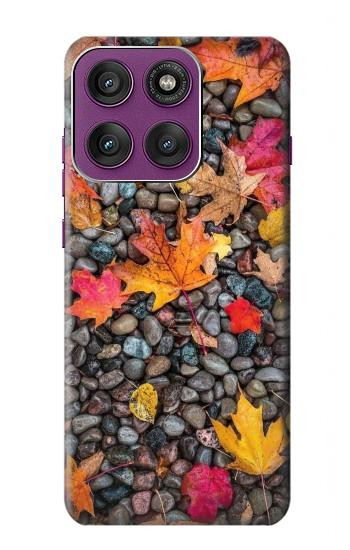 W3889 Maple Leaf Case Cover Custodia e Flip Case per Motorola Edge 60 Pro