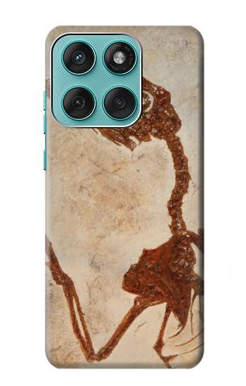 W0379 Dinosaur Fossil Case Cover Custodia e Flip Case per Motorola Edge 60 Fusion