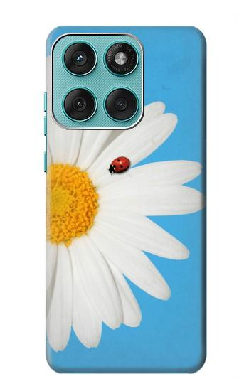 W3043 Vintage Daisy Lady Bug Case Cover Custodia e Flip Case per Motorola Edge 60 Fusion
