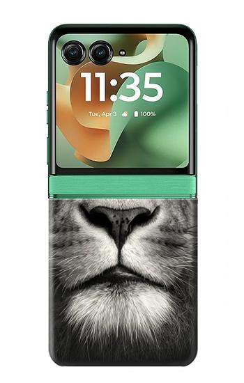 W1352 Lion Face Case Cover Custodia e Flip Case per Motorola Razr 60, Razr 2025