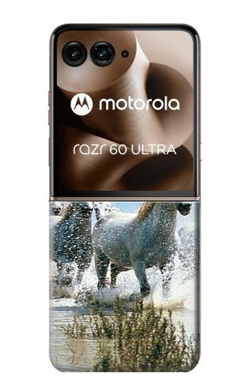 W0250 White Horse Case Cover Custodia e Flip Case per Motorola Razr 60 Ultra, Razr Ultra 2025