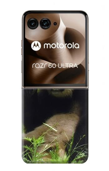 W1073 Panda Enjoy Eating Case Cover Custodia e Flip Case per Motorola Razr 60 Ultra, Razr Ultra 2025