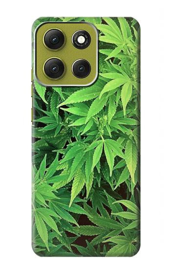 W1656 Marijuana Plant Case Cover Custodia e Flip Case per Motorola Moto G86 W1656 Marijuana Plant Case Cover Custodia e Flip Case per Motorola Moto G86