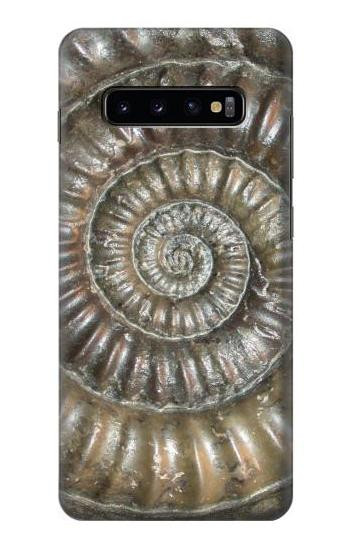 W1788 Ammonite Fossil Case Cover Custodia e Flip Case per Samsung Galaxy S10 Plus