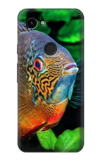 W1812 Cichlid Fish Case Cover Custodia e Flip Case per Google Pixel 3a