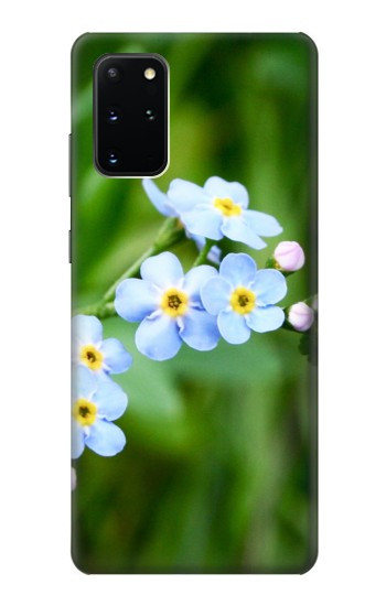 W1818 Forget Me Not Case Cover Custodia e Flip Case per Samsung Galaxy S20 Plus, Galaxy S20+