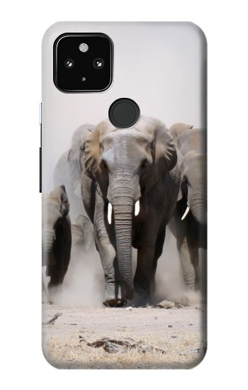 W3142 African Elephant Case Cover Custodia e Flip Case per Google Pixel 4a 5G