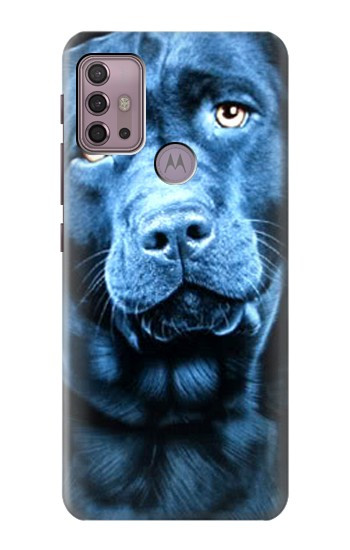 W0750 Labrador Retriever Case Cover Custodia e Flip Case per Motorola Moto G30, G20, G10