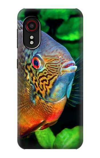 W1812 Cichlid Fish Case Cover Custodia e Flip Case per Samsung Galaxy Xcover 5 W1812 Cichlid Fish Case Cover Custodia e Flip Case per Samsung Galaxy Xcover 5
