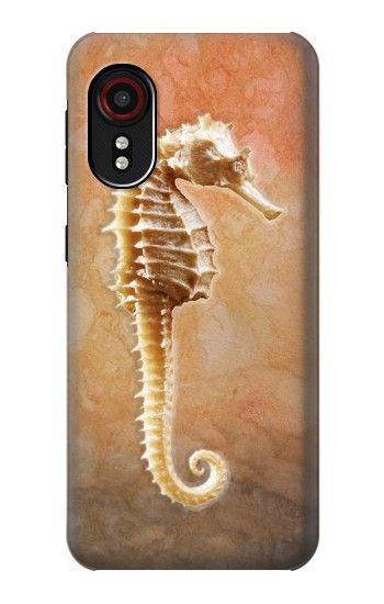 W2674 Seahorse Skeleton Fossil Case Cover Custodia e Flip Case per Samsung Galaxy Xcover 5