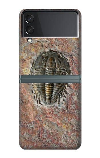 W1454 Trilobite Fossil Hard Case For Samsung Galaxy Z Flip 3 5G