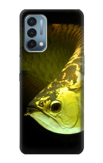 W1021 Gold Arowana Fish Case Cover Custodia e Flip Case per OnePlus Nord N200 5G W1021 Gold Arowana Fish Case Cover Custodia e Flip Case per OnePlus Nord N200 5G