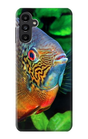 W1812 Cichlid Fish Case Cover Custodia e Flip Case per Samsung Galaxy A13 5G