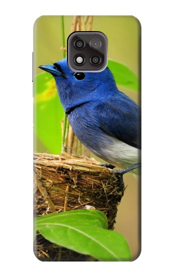 W3839 Bluebird of Happiness Blue Bird Case Cover Custodia e Flip Case per Motorola Moto G Power (2021)