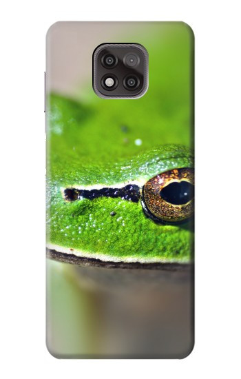 W3845 Green frog Case Cover Custodia e Flip Case per Motorola Moto G Power (2021)