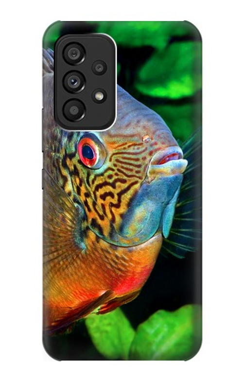 W1812 Cichlid Fish Case Cover Custodia e Flip Case per Samsung Galaxy A53 5G